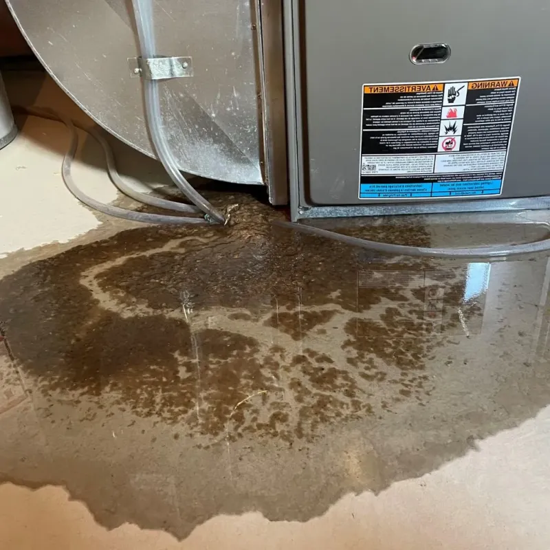 Pipe Burst and Leak Restoration in Niagara County, NY