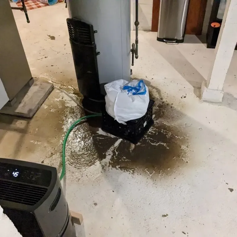 Sewage Backup Cleanup Service in Niagara County, NY